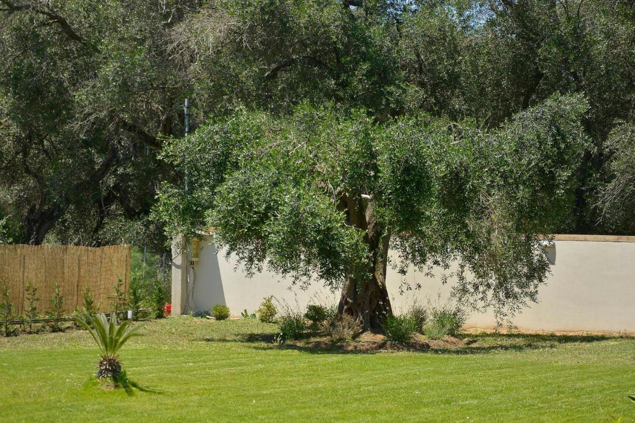 La Casa Del Sole Villa Halikounas Exteriör bild